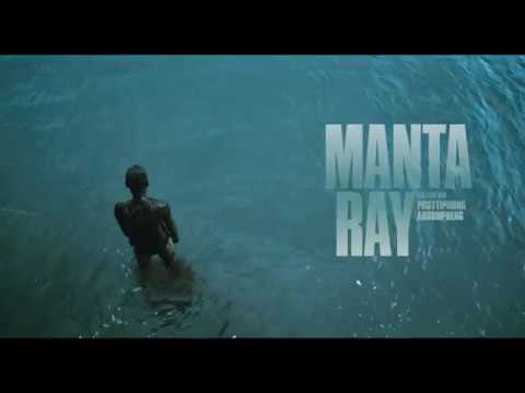 Manta Ray'