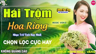 Hái Trộm Hoa Rừng ➤ LK Nhạc Vàng Xưa Hay Nhất Nhẹ Nhàng Sâu Lắng, Nghe Thử Một Lần Bạn Sẽ Nghiện