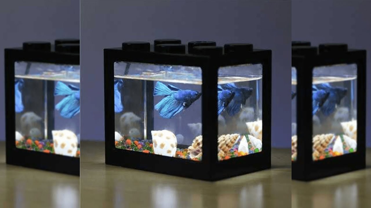 TOPINCN Akuarium Mini Block with Colorful LED - TOP5 Pratinjau video produk TOPINCN Akuarium Mini Block with Colorful LED - TOP5