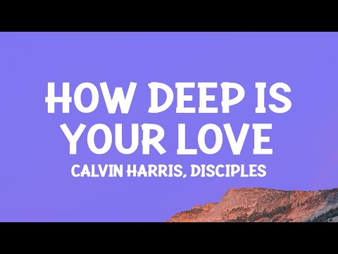 Calvin Harris & Disciples - How Deep Is Your Love (Lyrics)