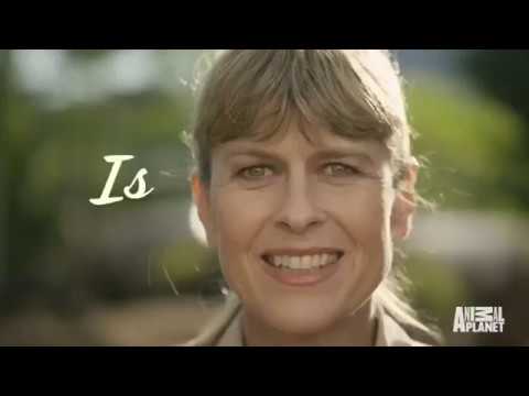 Crikey! It's the Irwins'