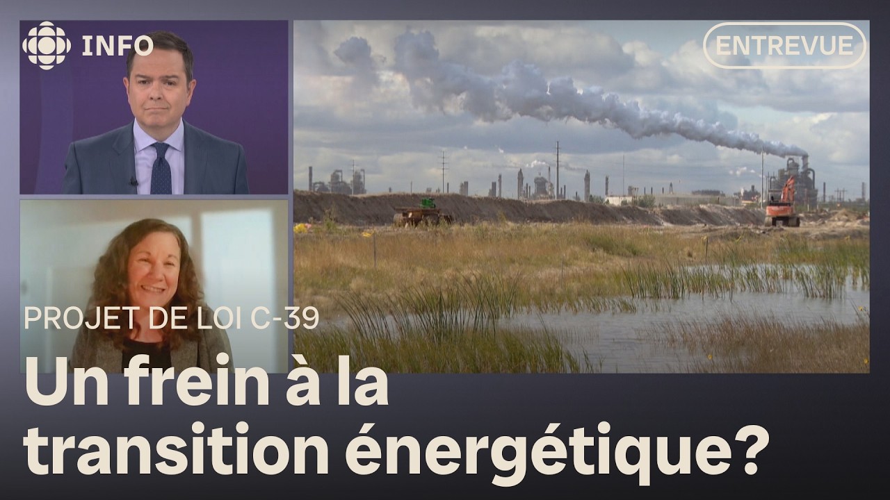 Accélérer les grands projets au Canada au détriment de l’environnement? | Zone économie