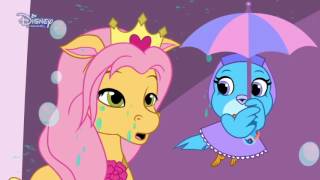 Pelkov - Vitajte v pelkove