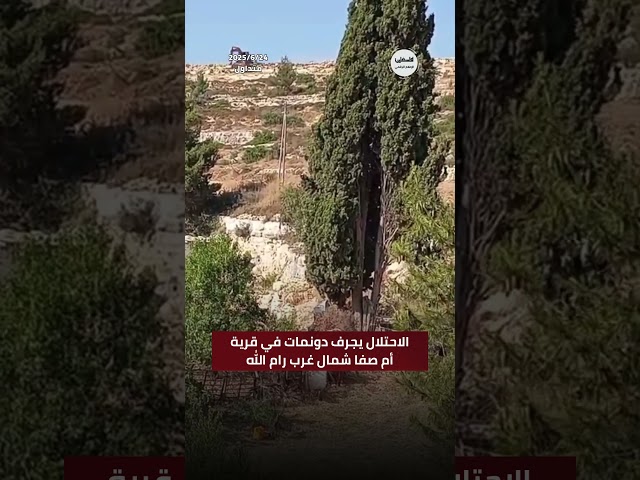 #شاهد الاحتلال يجرف دونمات في قرية أم صفا شمال غرب رام الله