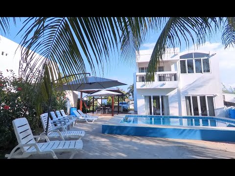 Property video