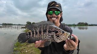 FISHING SA ALING NENE’S POND ubusin ko isda dito | Y6E10