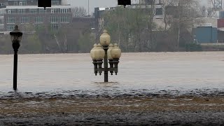clean up flood