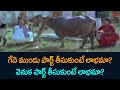 గేదె ముందు పార్ట్ తీసుకుంటే లాభమా? వెనుక పార్ట్ తీసుకుంటే లాభమా?Old Comedy Scenes | NavvulaTV