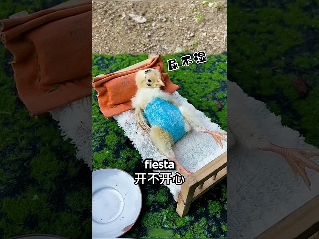 Él Sólo Quería Ir A La Fiesta y Ella Hizo Esto 😢