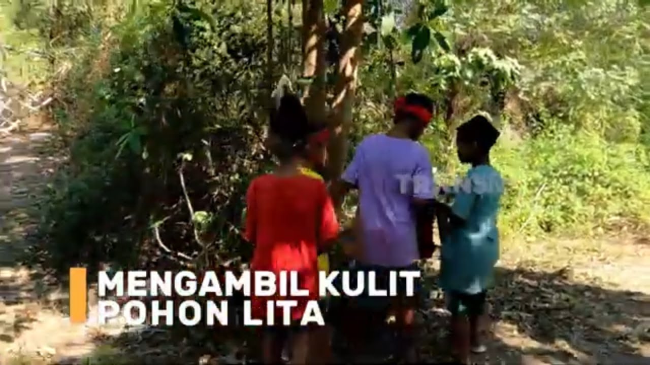 Mengambil Kulit Pohon Lita | SI BOLANG (20/08/24)