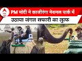 PM Modi in Kaziranga Park: PM Modi के असम दौरे की दूसरा दिन, जंगल सफारी का लिया आनंद | ABP NEWS