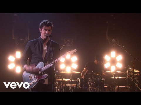Shawn Mendes - In My Blood (Live From The Ellen DeGeneres Show)