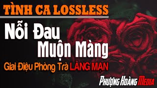 Nỗi Đau Muộn Màng - Nhạc Hải Ngoại Xưa Còn Mãi Với Thời Gian | Giai Điệu Nhẹ Nhàng Đầy Tâm Trạng