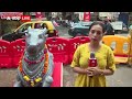 Ganesh Utsav: Mumbai में Somnath Temple की भव्य प्रतिकृति, दूर-दूर से आ रहे भक्त - 04:06 min - News - Video