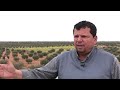 Tunisias olive-oil exporters decry missed opportunities | REUTERS  - 02:57 min - News - Video
