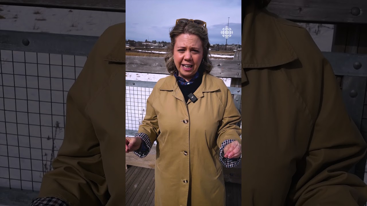 Énergie NB veut augmenter ses tarifs de 4,75 %| Vidéojournal