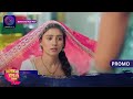 Mil Ke Bhi Hum Na Mile | New Show | सारा शगुन रेवा की आँचल में चला गया! | Promo | Dangal TV