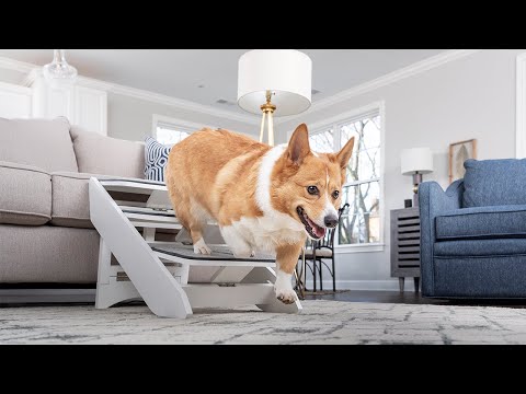 The PetSafe® CozyUp™ Steps & Ramp Combo adjusts from 16–20 inches in height and its heavy-duty carpet cover keeps pets from slipping or tripping.