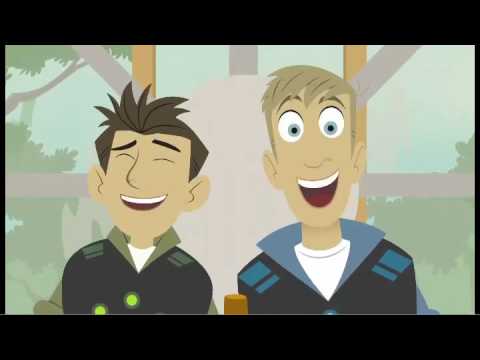 Wild Kratts'