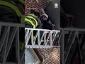 Chicago firefighters scramble to save people in high-rise fire