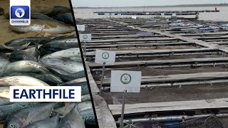 FG Using APPEALS Project To Boost Food Value Chain Via Aquaculture | Earthfile