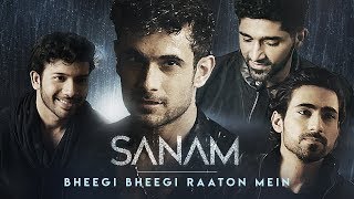 Bheegi Bheegi Raaton Mein - Sanam