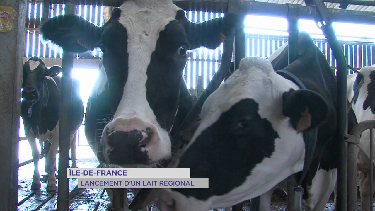 Ile-de-France : lancement d’un lait régional