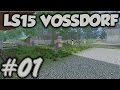 Voss village v1.0