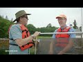 How researchers restored a thriving habitat for Atlantic puffins in Maine - 08:49 min - News - Video