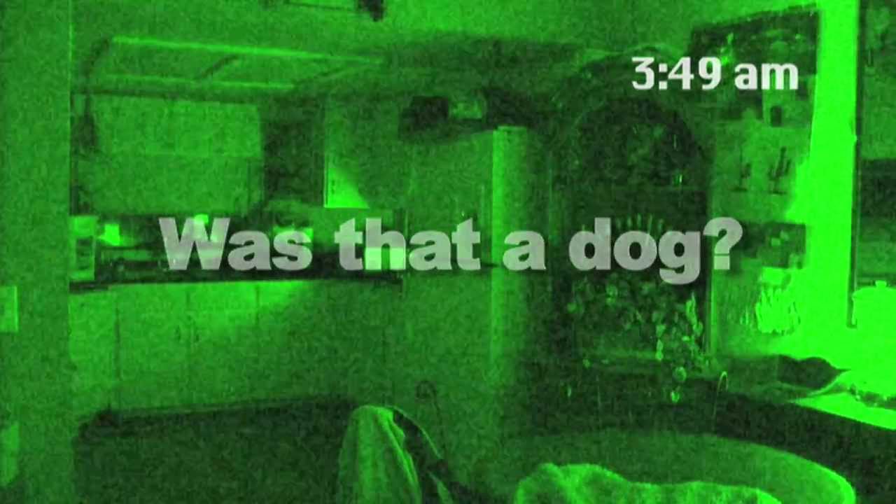 Dog Ghost Caught on Tape - Real ghost video capture on camera funny dog ...