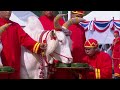 Oxen in Thailands annual royal ploughing ceremony indicate Thai economy set to prosper  - 00:51 min - News - Video