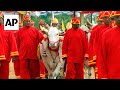 Oxen in Thailands annual royal ploughing ceremony indicate Thai economy set to prosper