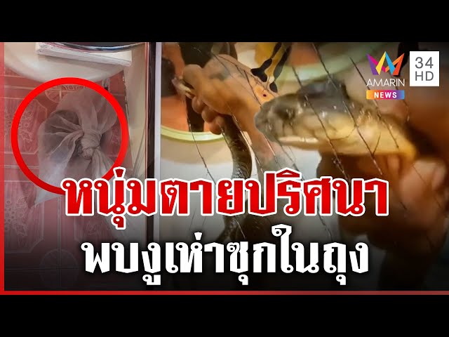 หนุ่มดับปริศนาคาโรงแรม เจองูเห่าซุกในถุง เช็กมือถือพบคลิปหยอกเล่นเพียบ | ทุบโต๊ะข่าว | 03/07/68