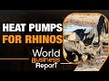 Heating Rhinos with Heat Pumps! | UK Zoos Innovative Solution