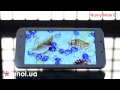 Видео обзор 6 дюймового планшета Ainol Numy Note 6