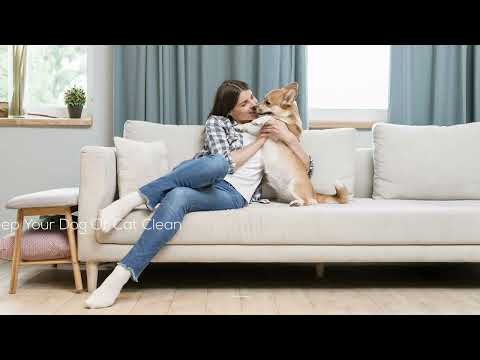 How To Keep Your House Super Clean With Pets