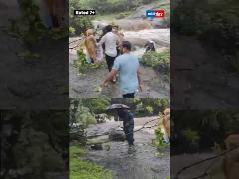 Tragedy Caught on Film Family Swept Away in Waterfall at Lonavala Dam  Bhushi Dam Accident 