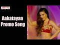 Aakatayi video songs promos & Jukebox