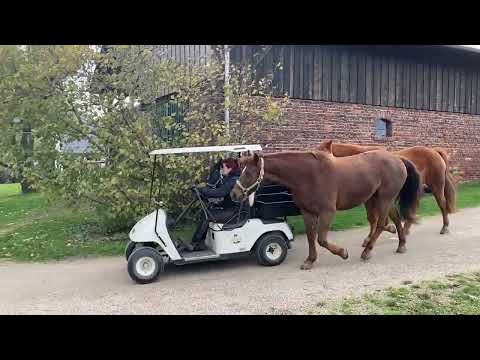 Property video