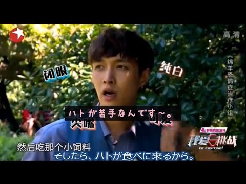 EXO LAY レイ go fighting ハトが超苦手なレイ君 日本語字幕