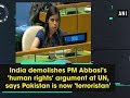 India at UN, Pakistan is now Terroristan, a land of pure terror