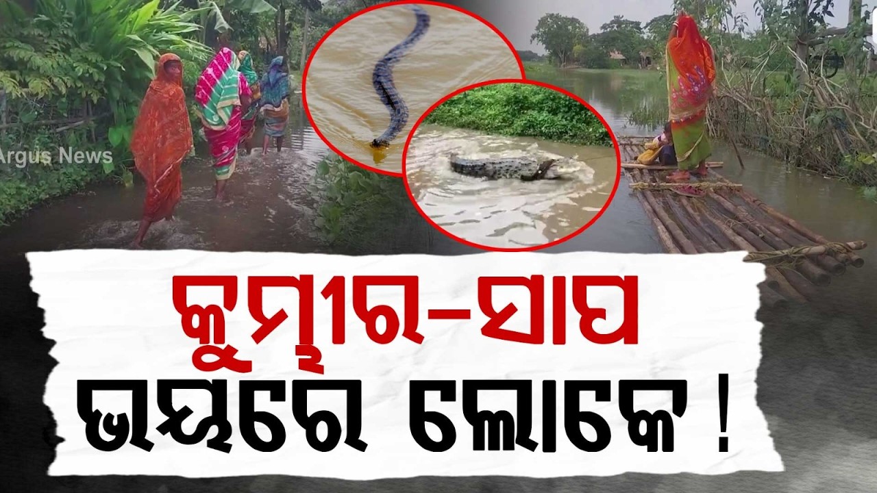 Mantei River Flood: Villagers Stranded Amid Double Threat Of Water And Crocodiles | Argus News