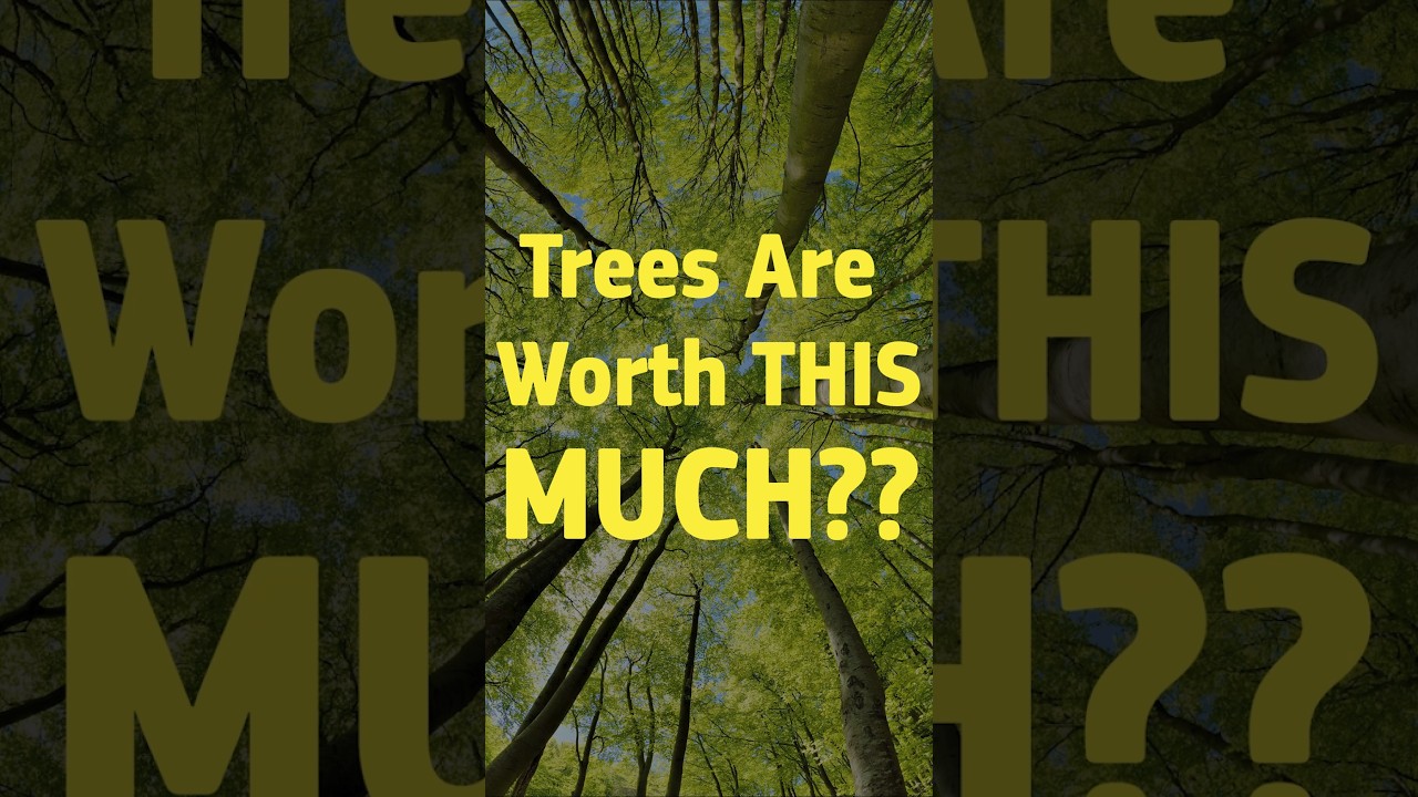 Guess How Much Trees Are ACTUALLY Worth 😯 #eu #forest #biodiversity