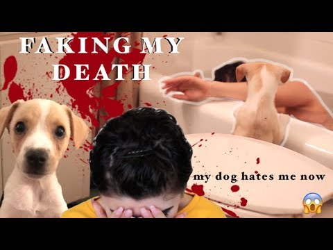 PRANKING MY PUPPY (part 1)- My Dog Reacts to me DYING!