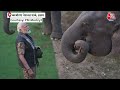 PM Modi Assam Visit: हाथी की सवारी, गैंडा को भी देखा, काजीरंगा में PM Modi की जंगल सफारी | Aaj Tak  - 04:38 min - News - Video