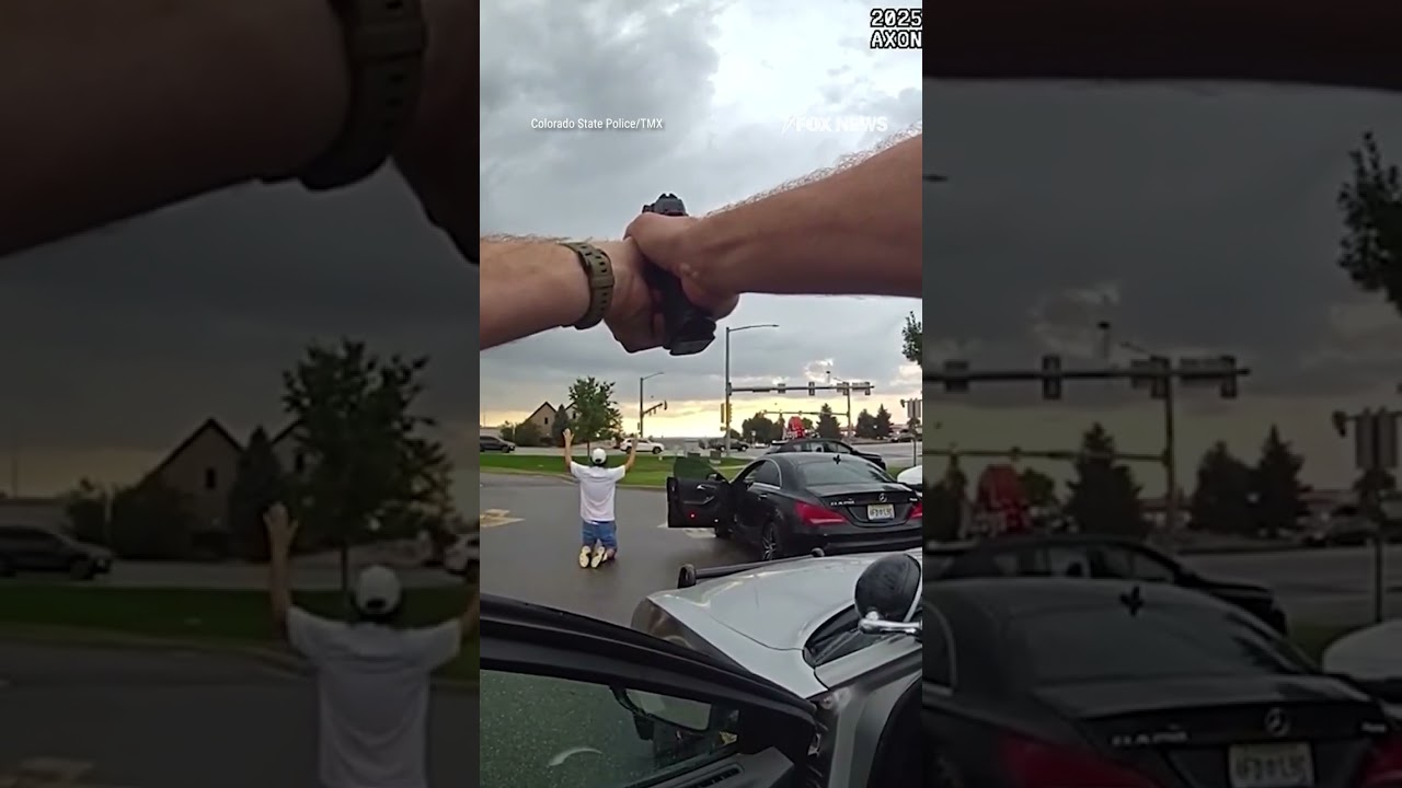 Driver BUSTED for speeding the wrong way on a highway #shorts