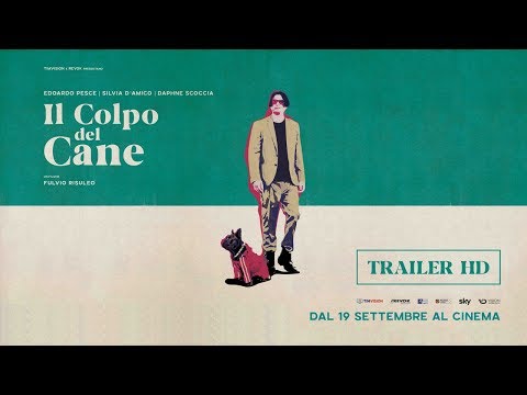 Il colpo del cane'