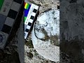 Scientists work out how to directly date fossilized dinosaur eggs - 00:28 min - News - Video