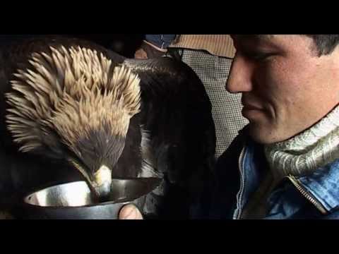 Shivering Beauty: Soundscape of Mongolia'