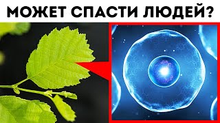 Самый сложный язык в мире может спасти миллионы людей